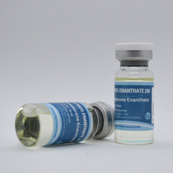 testoxyl enanthate 250